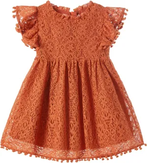 Niyage Toddler Girls Elegant Lace Pom Pom Flutter Sleeve Party Princess Dress