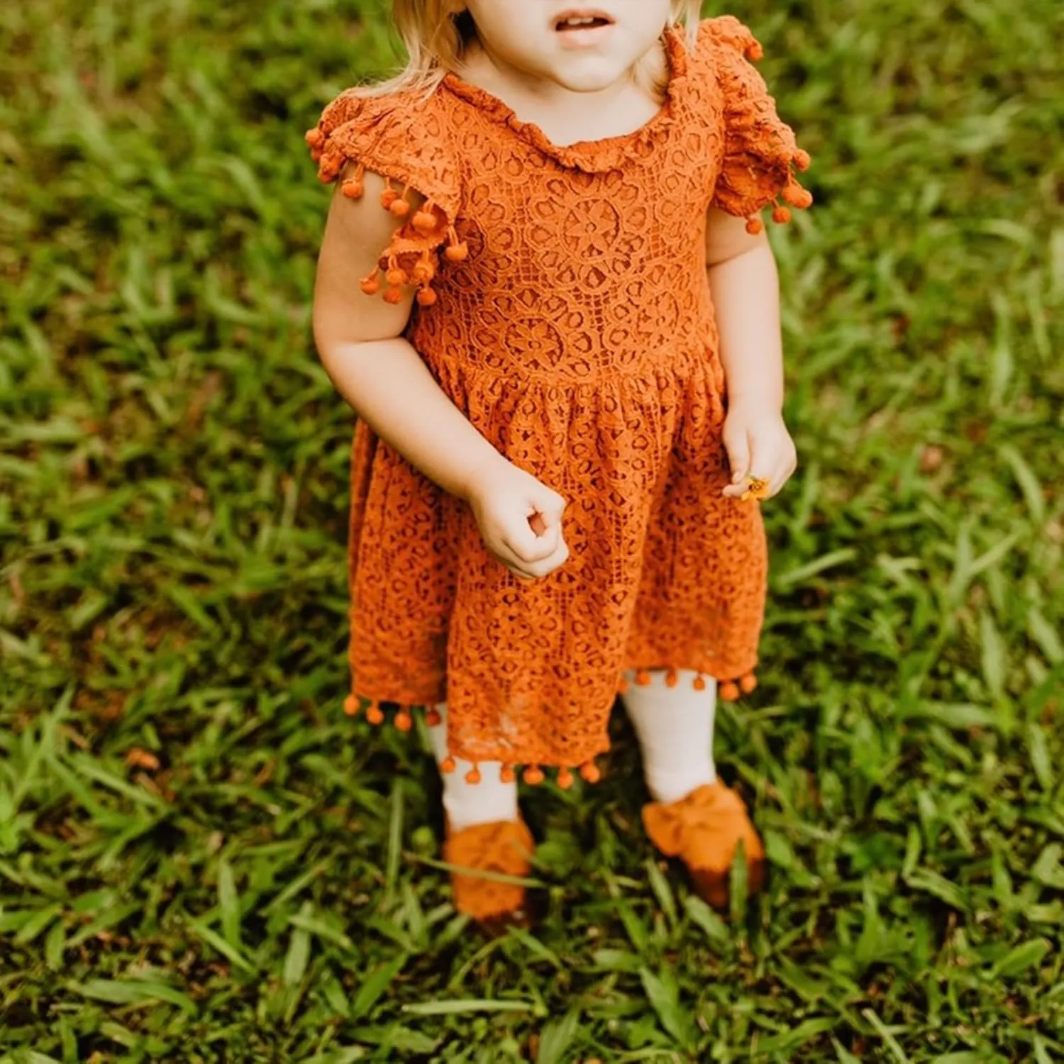Niyage Toddler Girls Elegant Lace Pom Pom Flutter Sleeve Party Princess Dress